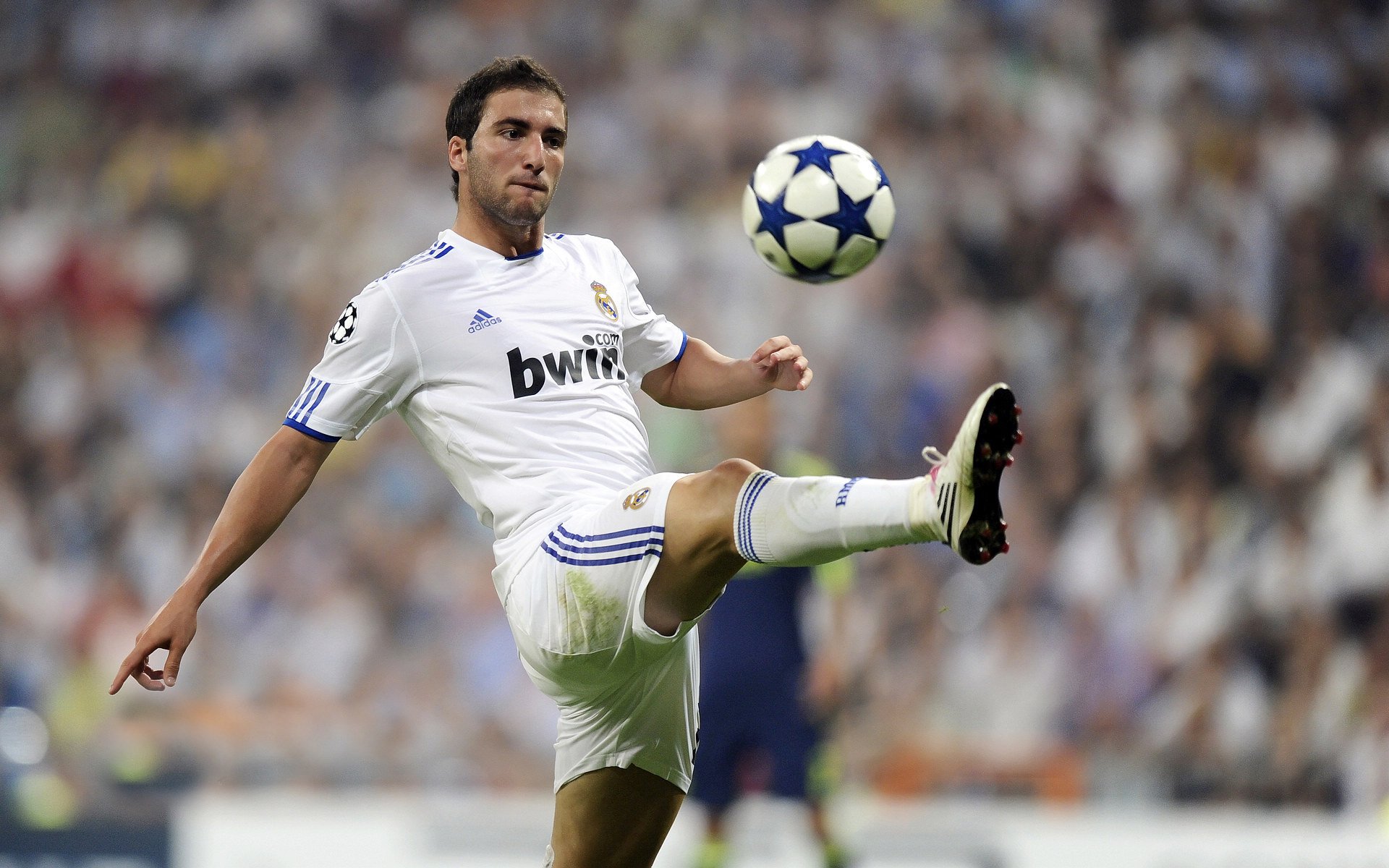 塞内加尔球员戴毛线帽上场，网友笑称“最保暖前锋”，塞内加尔队长是谁